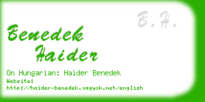 benedek haider business card